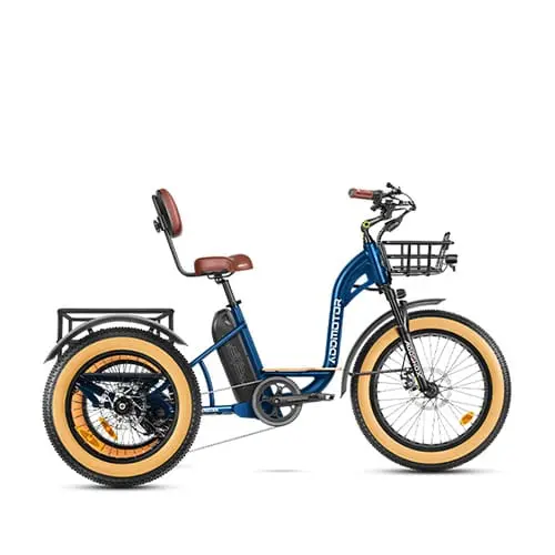 Get 200 Freebies With E trike Purchase Now